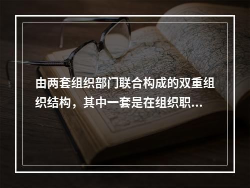 由两套组织部门联合构成的双重组织结构，其中一套是在组织职能基