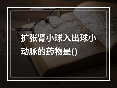 扩张肾小球入出球小动脉的药物是()