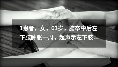 1患者，女，63岁，脑卒中后左下肢肿胀一周，超声示左下肢深静