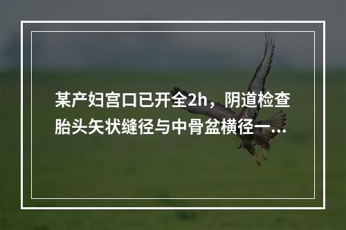 某产妇宫口已开全2h，阴道检查胎头矢状缝径与中骨盆横径一致，