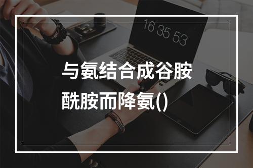 与氨结合成谷胺酰胺而降氨()