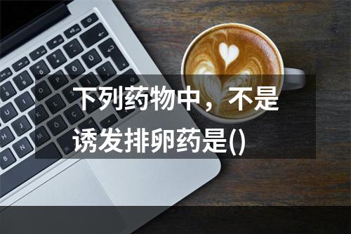 下列药物中，不是诱发排卵药是()