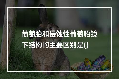 葡萄胎和侵蚀性葡萄胎镜下结构的主要区别是()