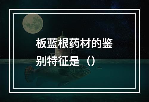 板蓝根药材的鉴别特征是（）