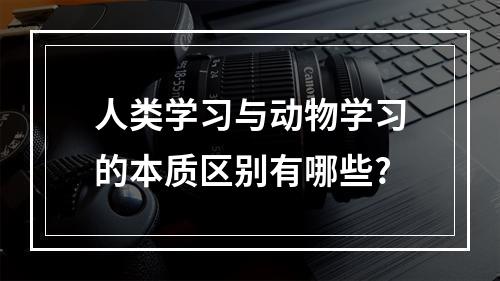 人类学习与动物学习的本质区别有哪些?