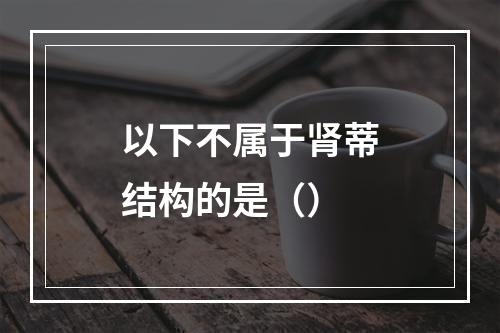 以下不属于肾蒂结构的是（）