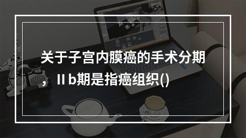 关于子宫内膜癌的手术分期，Ⅱb期是指癌组织()