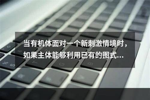 当有机体面对一个新刺激情境时，如果主体能够利用已有的图式将刺