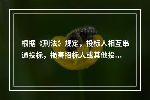 根据《刑法》规定，投标人相互串通投标，损害招标人或其他投标人