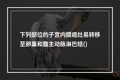 下列部位的子宫内膜癌灶易转移至卵巢和腹主动脉淋巴结()