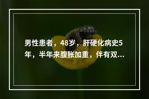 男性患者，48岁，肝硬化病史5年，半年来腹胀加重，伴有双下肢