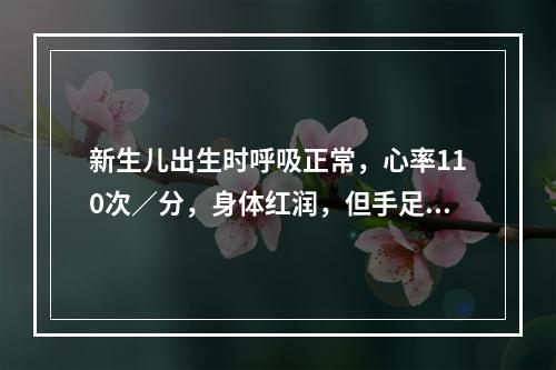 新生儿出生时呼吸正常，心率110次／分，身体红润，但手足有青