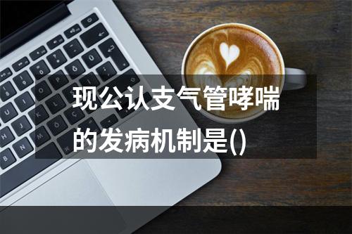 现公认支气管哮喘的发病机制是()