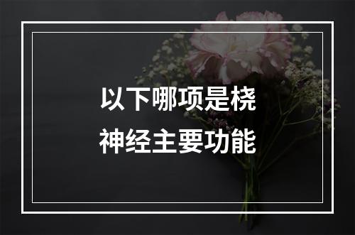 以下哪项是桡神经主要功能