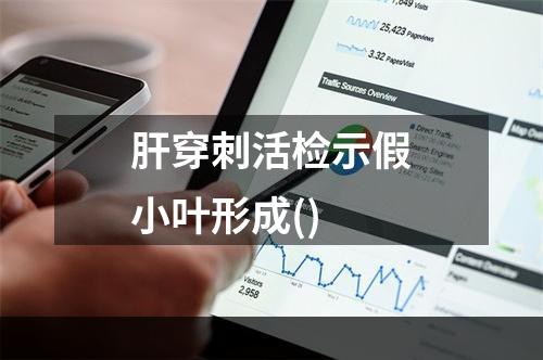 肝穿刺活检示假小叶形成()