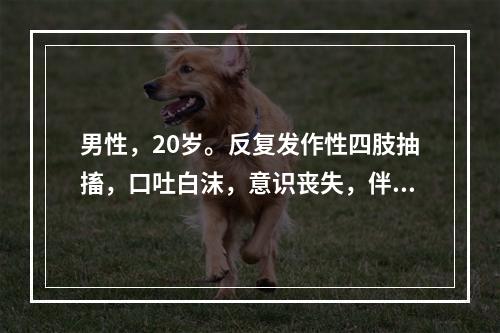 男性，20岁。反复发作性四肢抽搐，口吐白沫，意识丧失，伴大小