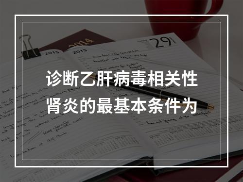 诊断乙肝病毒相关性肾炎的最基本条件为