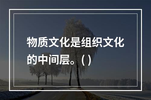 物质文化是组织文化的中间层。( )