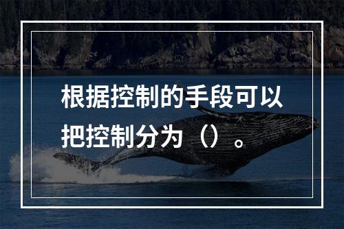 根据控制的手段可以把控制分为（）。