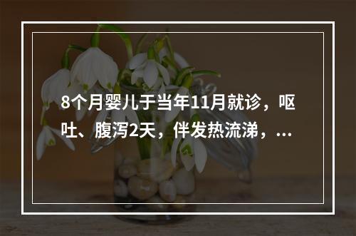 8个月婴儿于当年11月就诊，呕吐、腹泻2天，伴发热流涕，大便