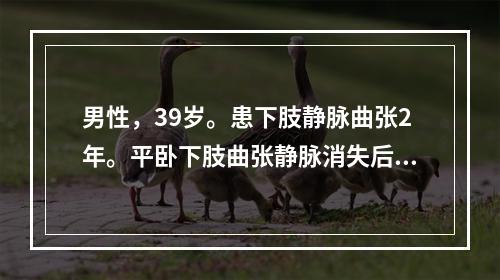 男性，39岁。患下肢静脉曲张2年。平卧下肢曲张静脉消失后，在