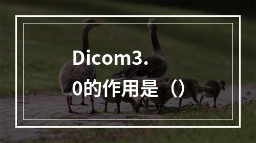 Dicom3.0的作用是（）