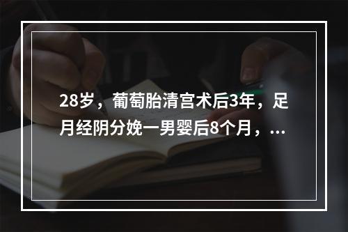 28岁，葡萄胎清宫术后3年，足月经阴分娩一男婴后8个月，哺乳