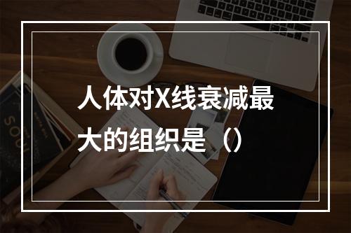 人体对X线衰减最大的组织是（）