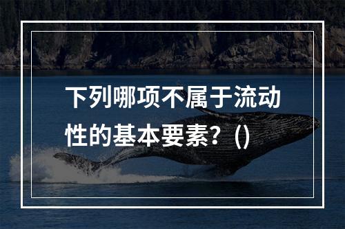 下列哪项不属于流动性的基本要素？()