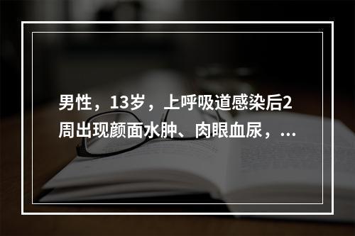 男性，13岁，上呼吸道感染后2周出现颜面水肿、肉眼血尿，血压