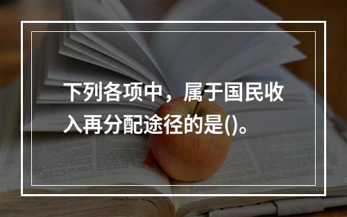 下列各项中，属于国民收入再分配途径的是()。