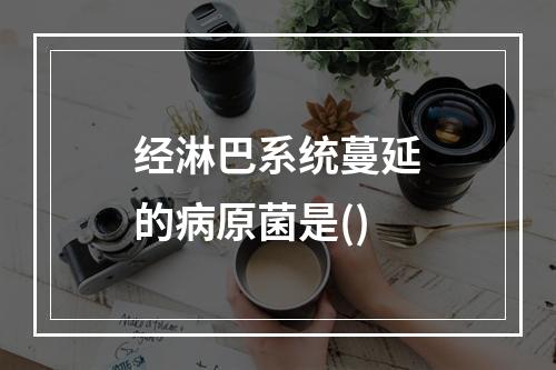 经淋巴系统蔓延的病原菌是()