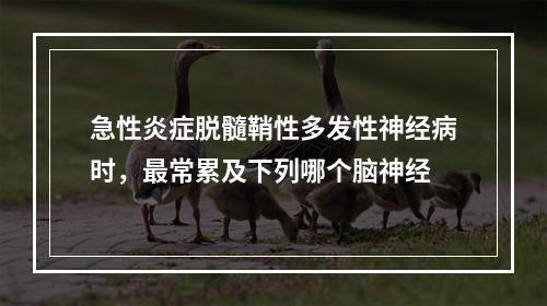 急性炎症脱髓鞘性多发性神经病时，最常累及下列哪个脑神经