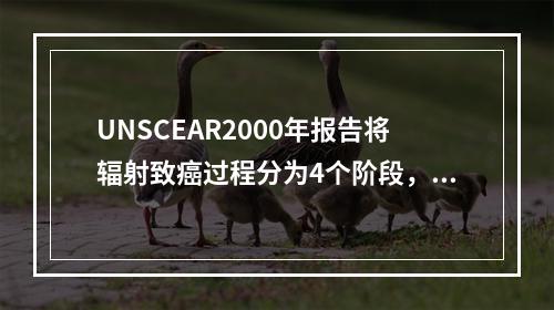 UNSCEAR2000年报告将辐射致癌过程分为4个阶段，以下