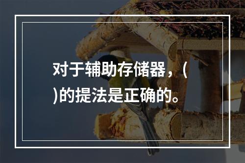 对于辅助存储器，( )的提法是正确的。