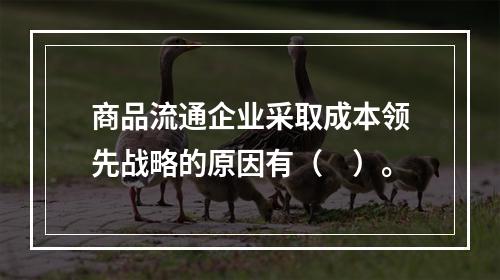 商品流通企业采取成本领先战略的原因有（　）。