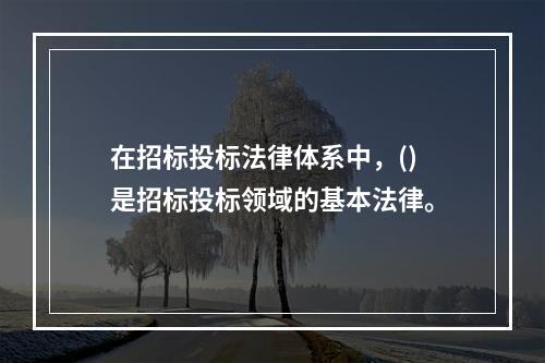 在招标投标法律体系中，()是招标投标领域的基本法律。