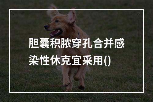 胆囊积脓穿孔合并感染性休克宜采用()