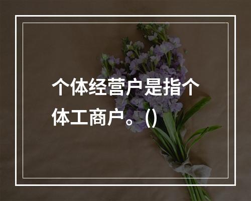 个体经营户是指个体工商户。()