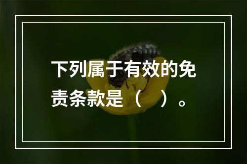 下列属于有效的免责条款是（　）。