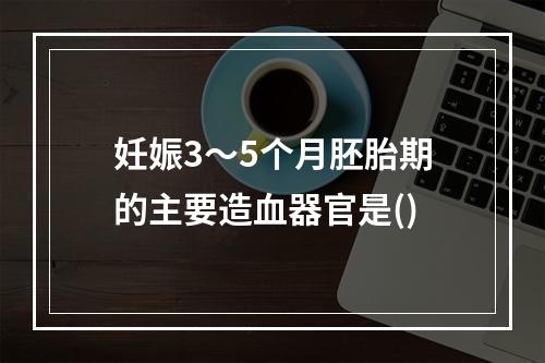 妊娠3～5个月胚胎期的主要造血器官是()