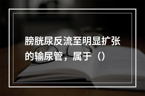 膀胱尿反流至明显扩张的输尿管，属于（）