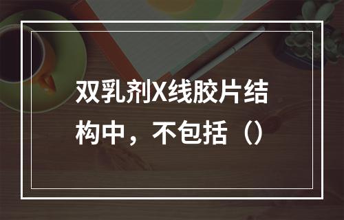 双乳剂X线胶片结构中，不包括（）