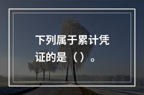 下列属于累计凭证的是（ ）。