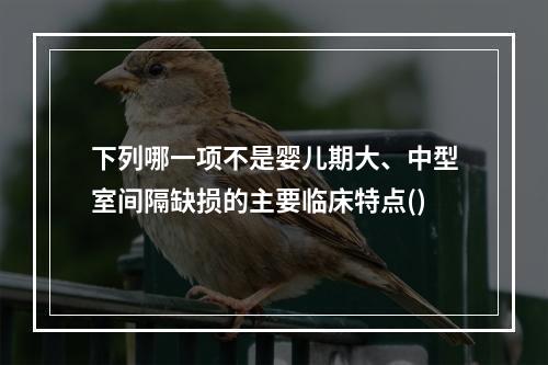 下列哪一项不是婴儿期大、中型室间隔缺损的主要临床特点()