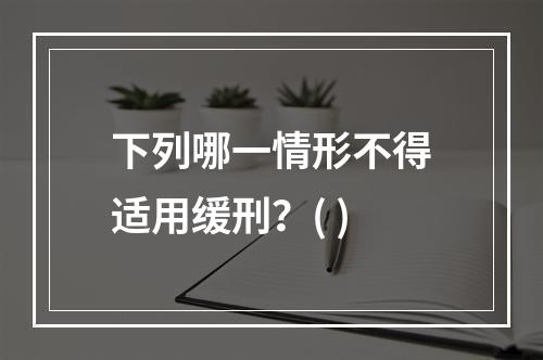 下列哪一情形不得适用缓刑？( )