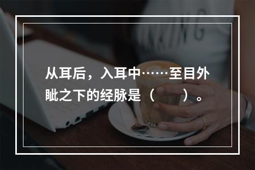 从耳后，入耳中……至目外眦之下的经脉是（　　）。