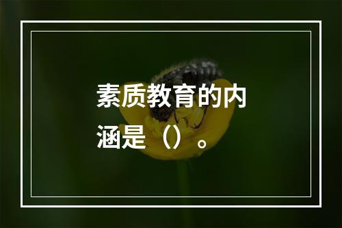 素质教育的内涵是（）。