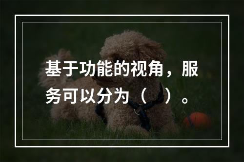 基于功能的视角，服务可以分为（　）。