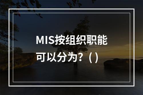 MIS按组织职能可以分为？( )